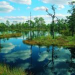 Parque Nacional Lahemaa (Estonia)