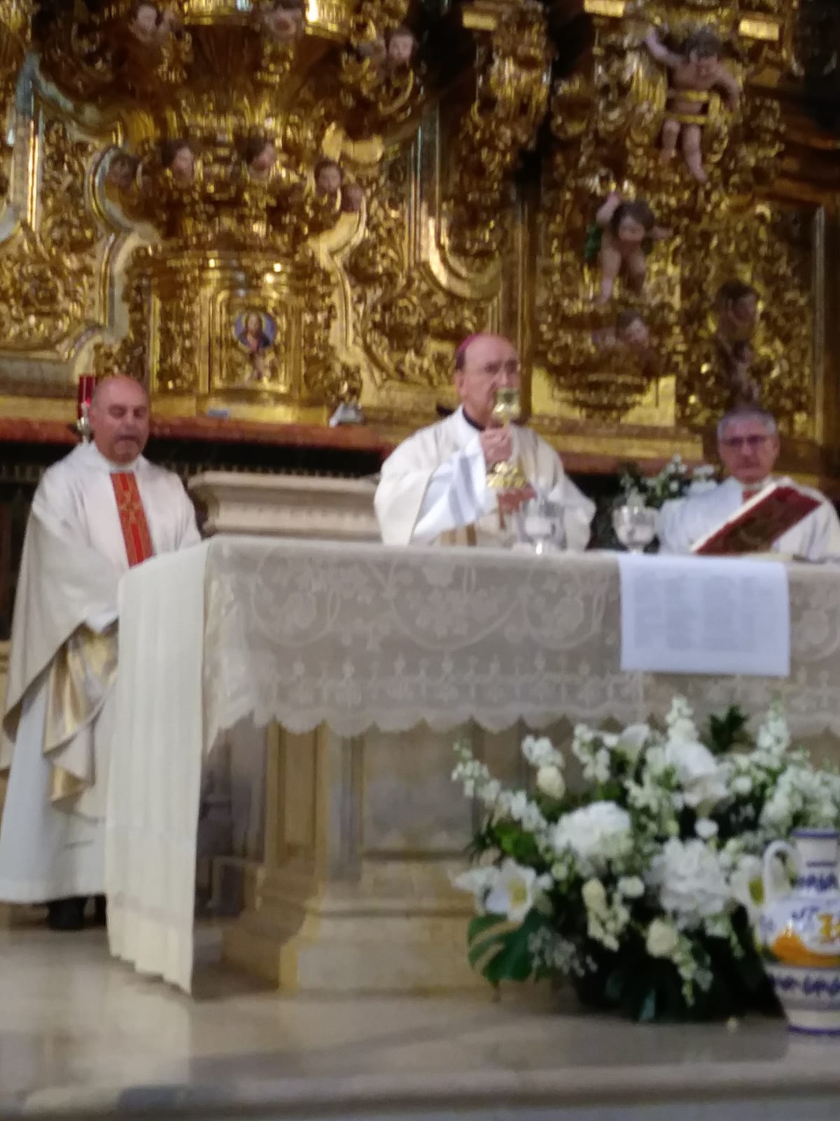 Voluntarios de pastoral de la salud: el rostro de la Iglesia en el ámbito del dolor 5 Pastoral de la Salud 3
