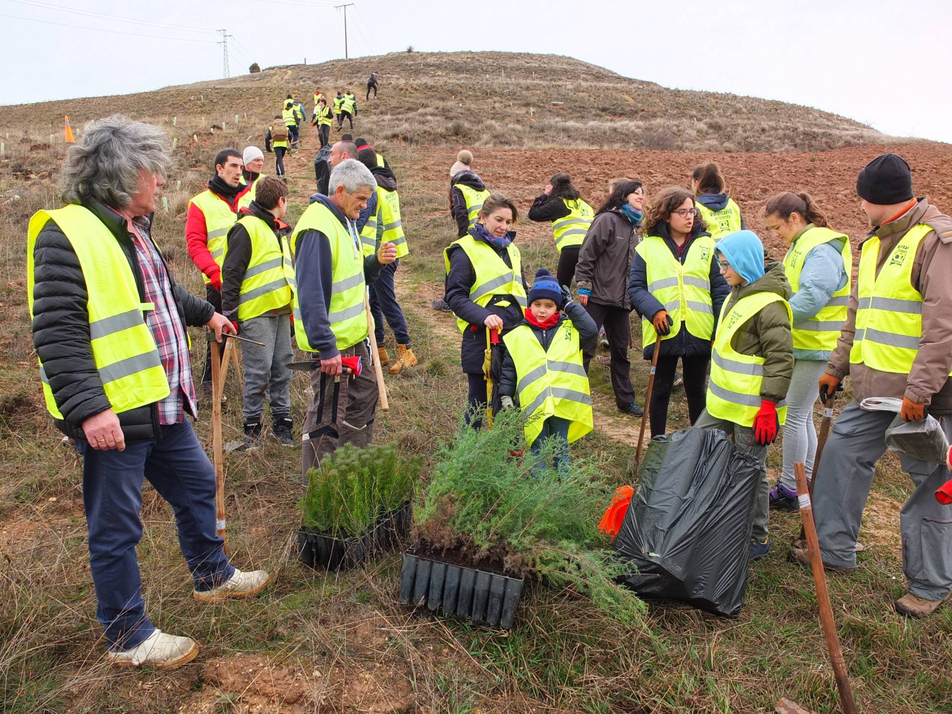 Numerosos voluntarios participaron en el Día del Árbol 2 arboles 2