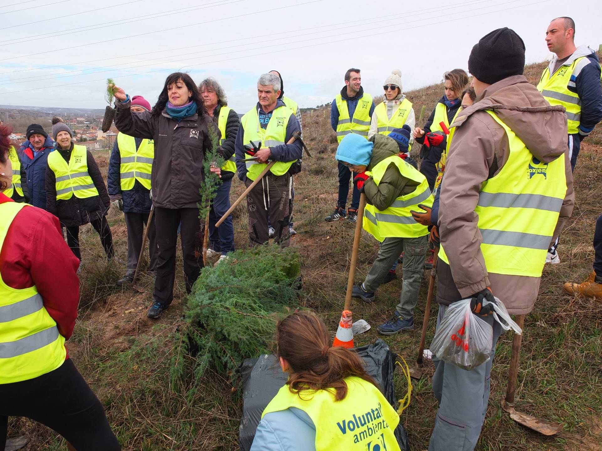 Numerosos voluntarios participaron en el Día del Árbol 3 arboles 3