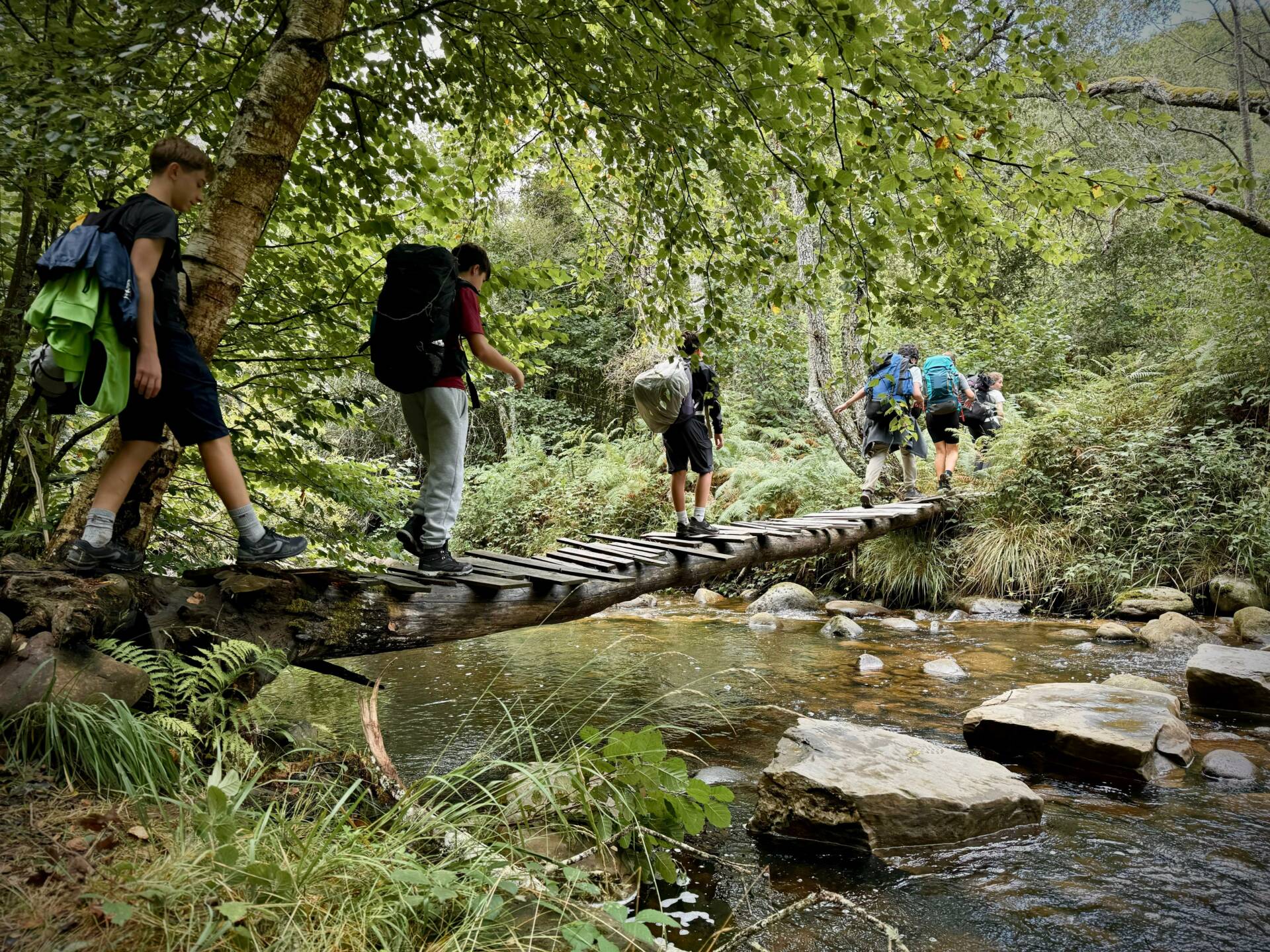 El Camino de Santiago vuelve a poner en marcha a los jóvenes 2 Camino de Santiago Olvidado Burgos