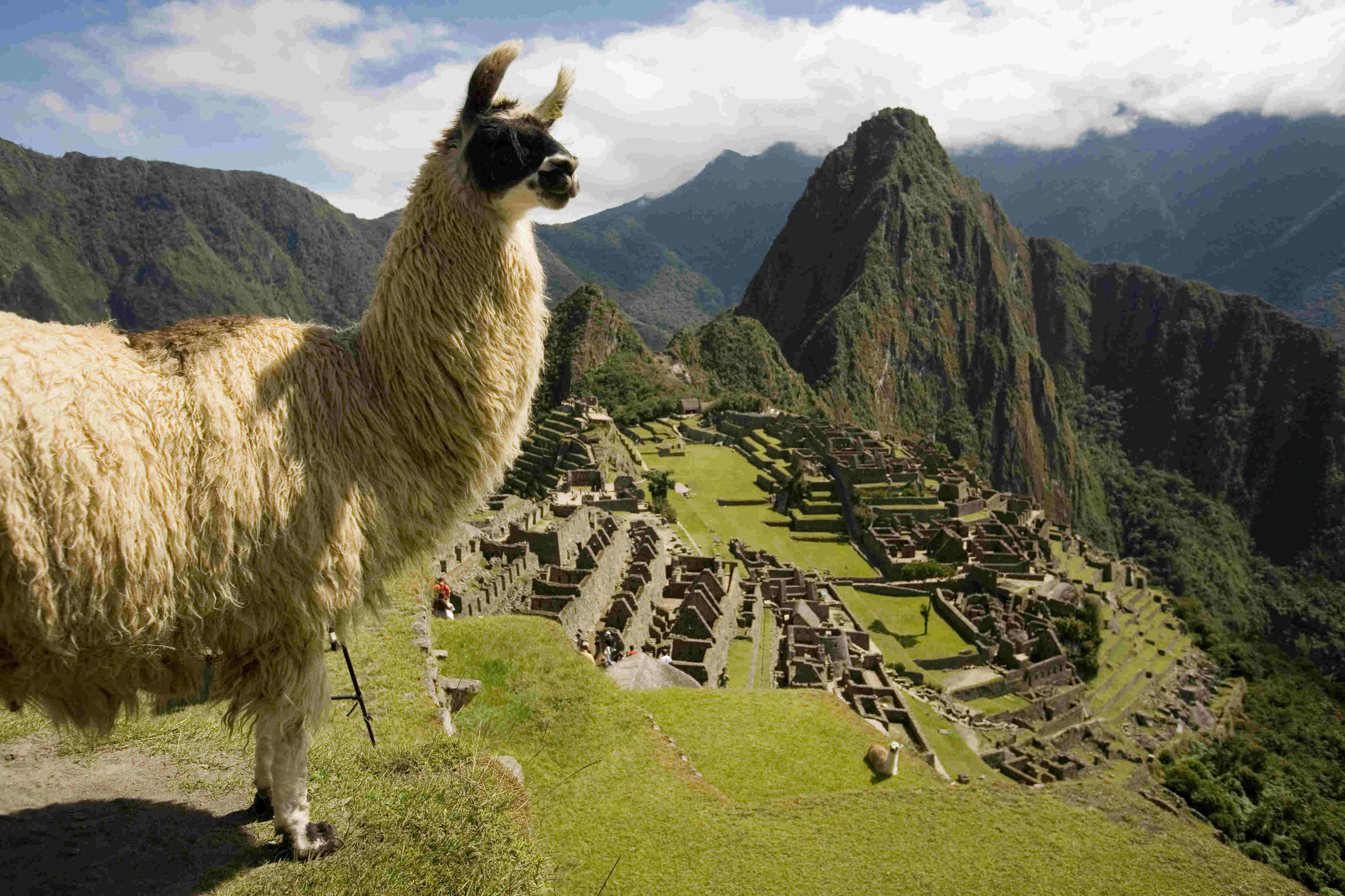 La Asociación peruana Hijos del Sol en Burgos celebra sus fiestas patrias 1 ciudadela-de-machu-picchu-orellana-expeditions