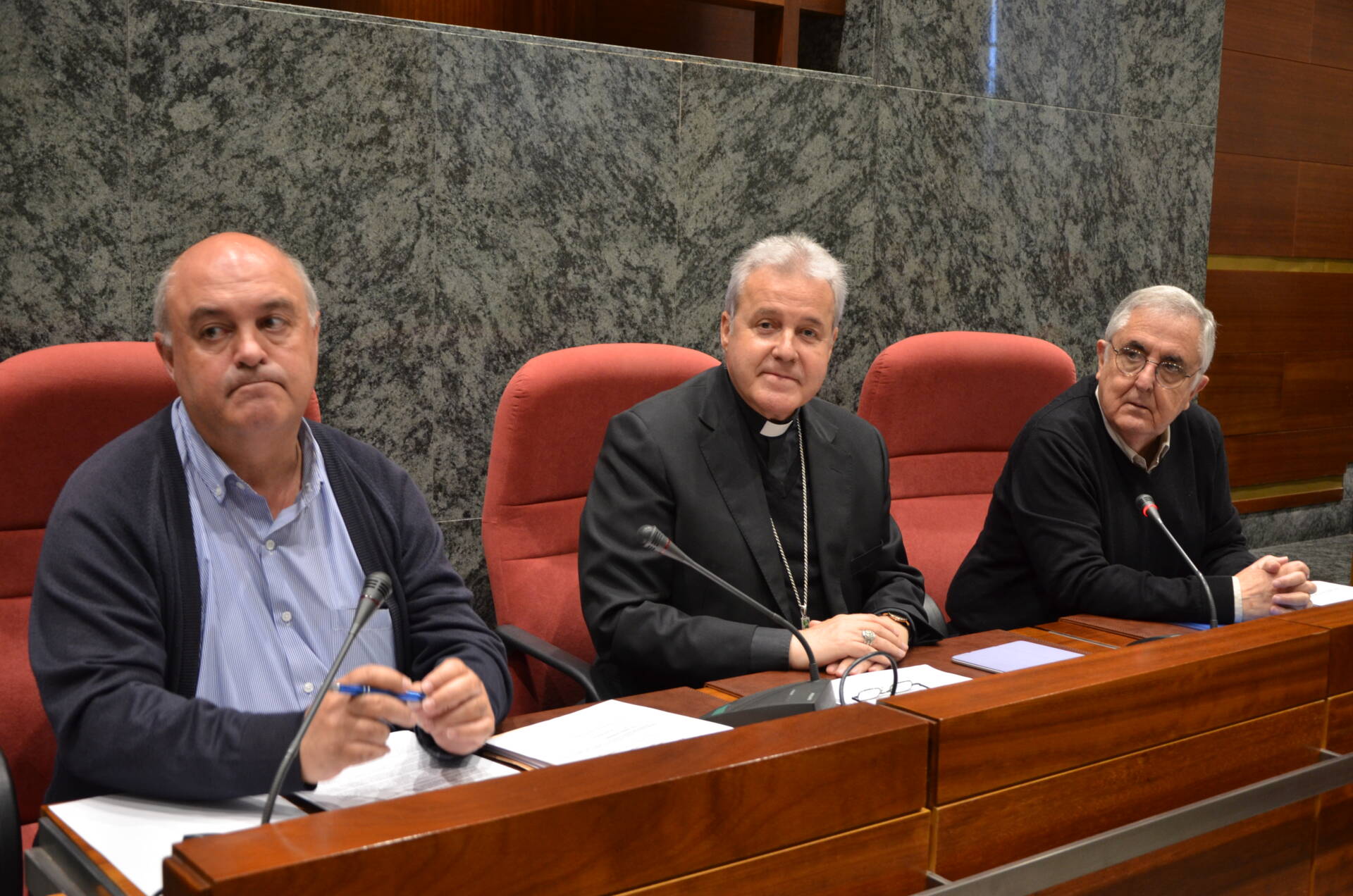 Un nuevo Consejo Pastoral para «caminar juntos» 7 consejo-pastoral (9)