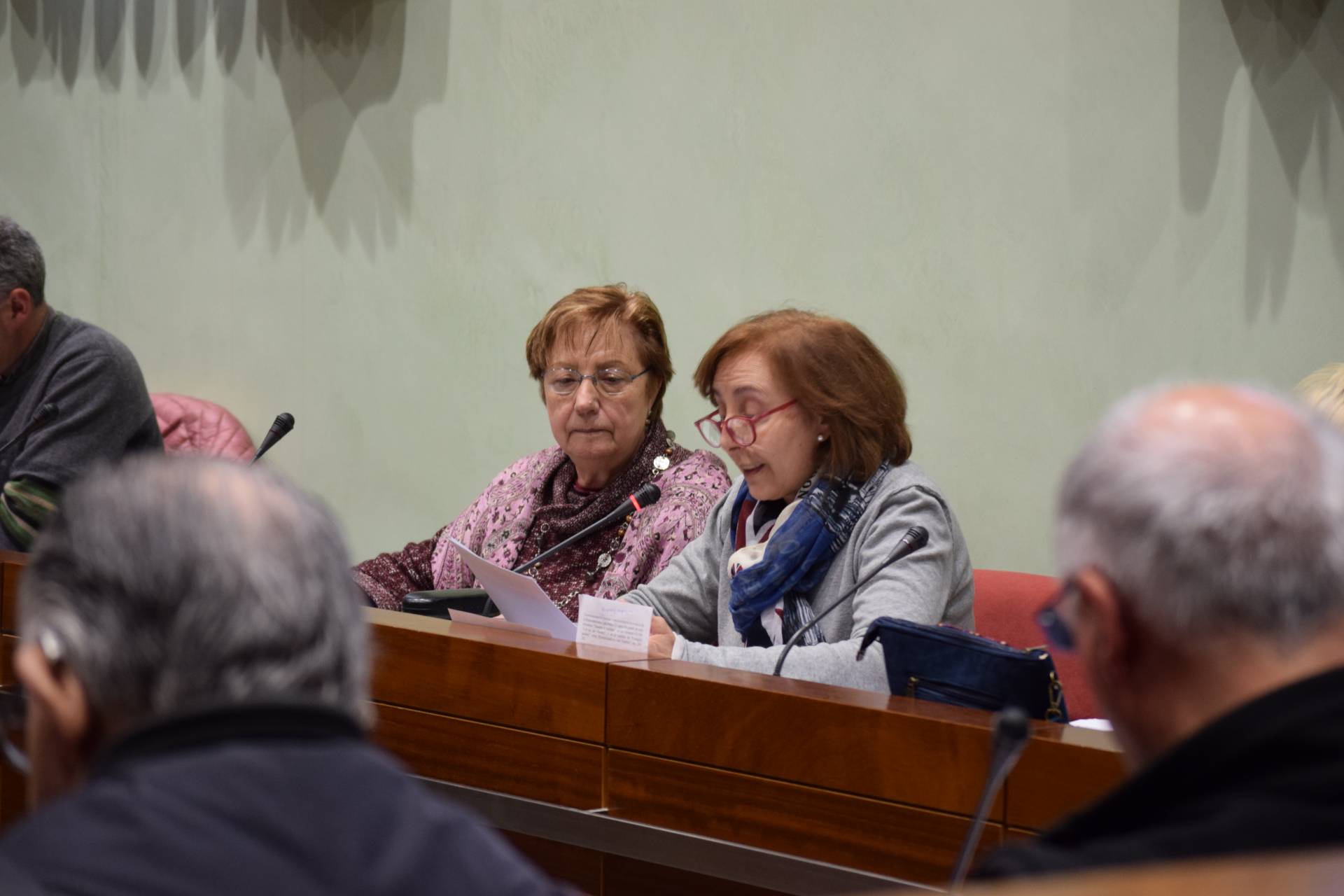 El Consejo Pastoral analiza la posibilidad de celebrar una Asamblea Diocesana 7 consejo pastoral (9)