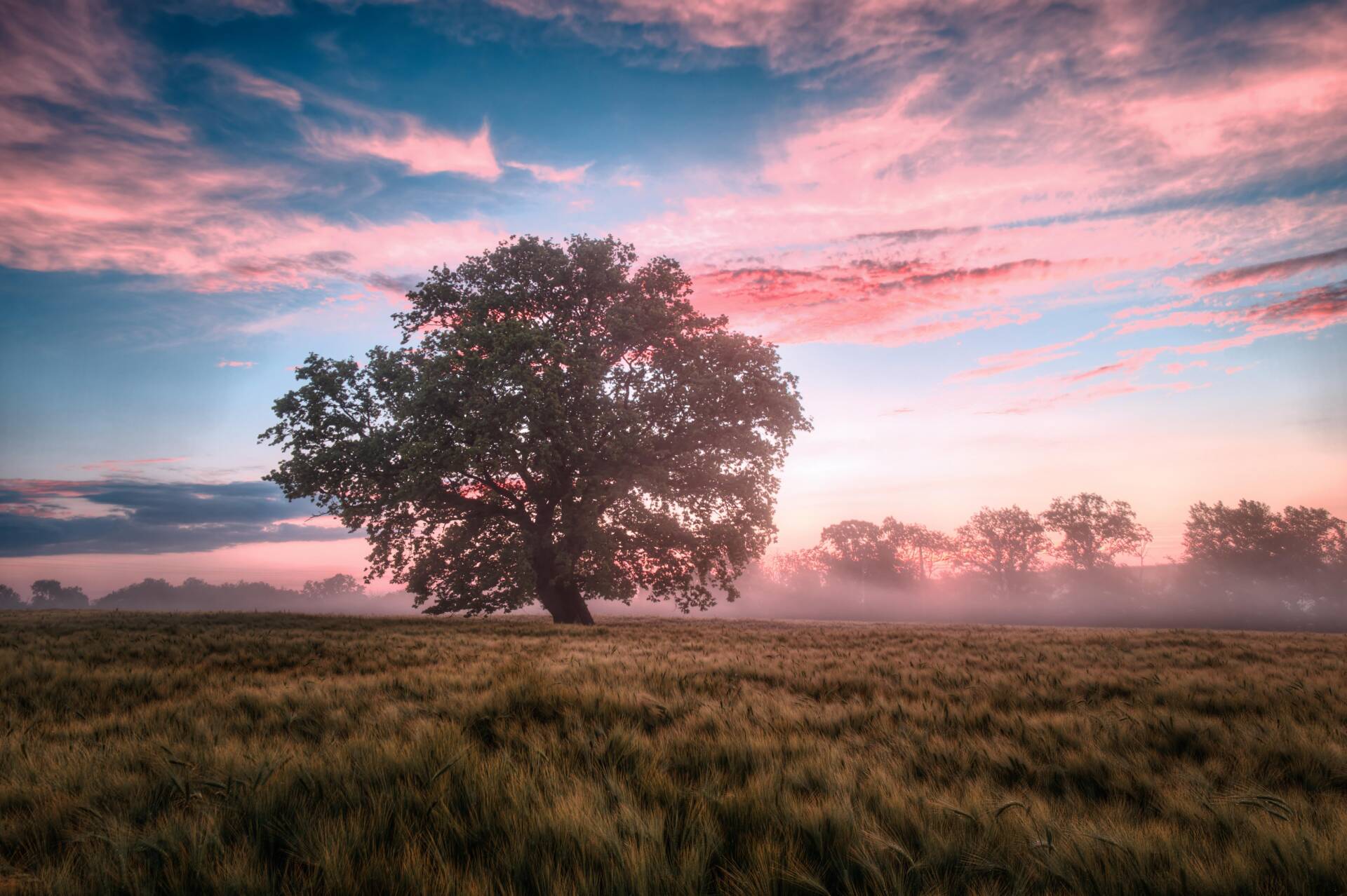 La Creación: una inmensa belleza que tenemos que cuidar 1 tiempo de la creación paisaje