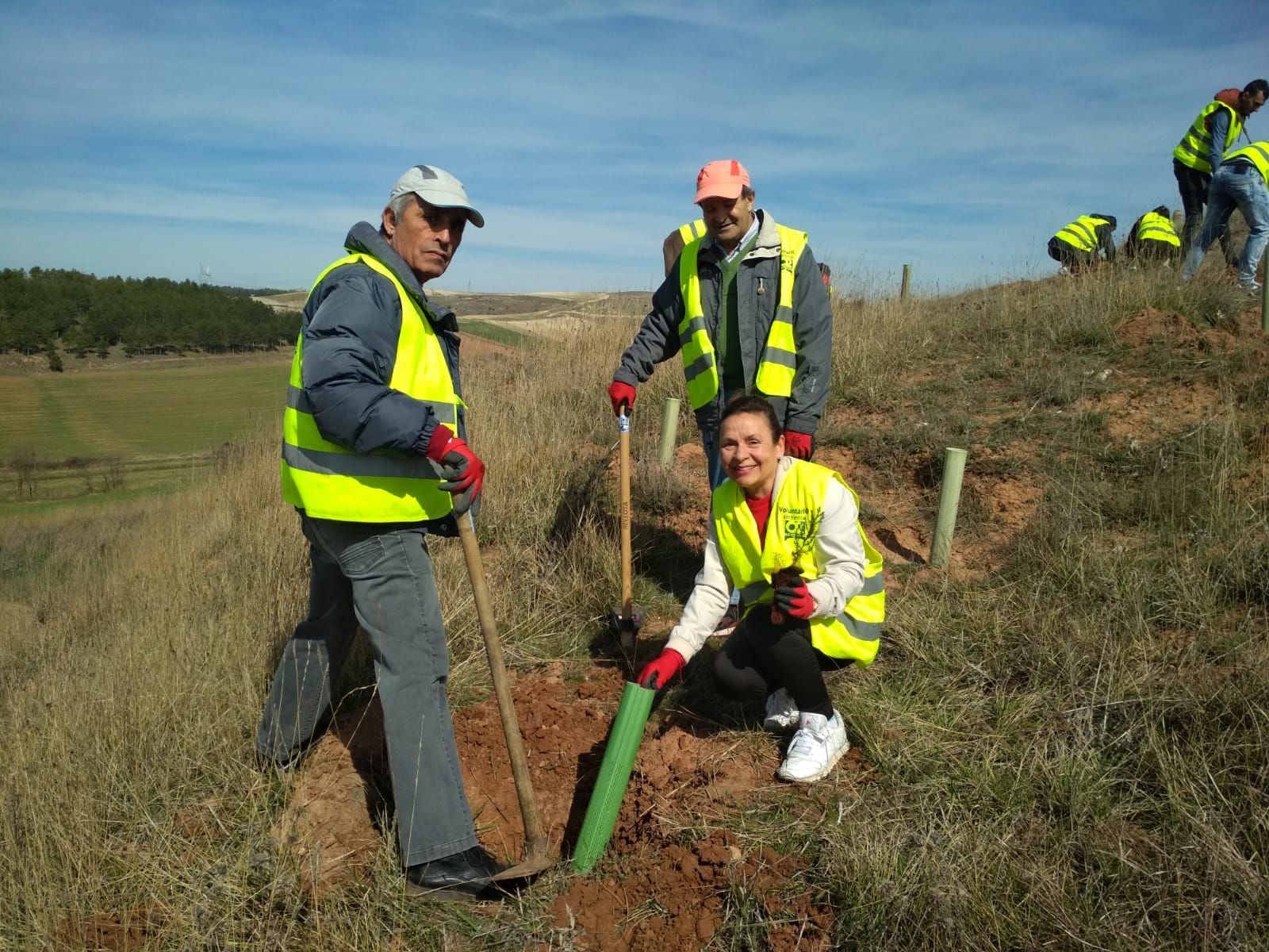 Nueva plantación de árboles para cuidar el planeta 4 dia arbol 5