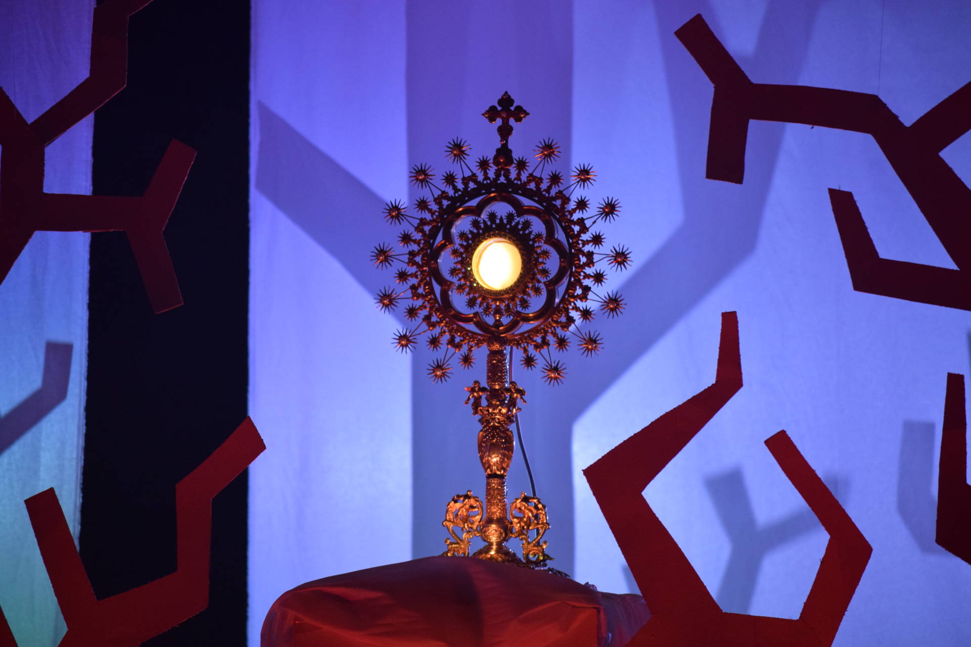 La eucaristía, «signo elocuente» para la formación de los seminaristas 6 eucaristía 125 reservado seminario seminaristas