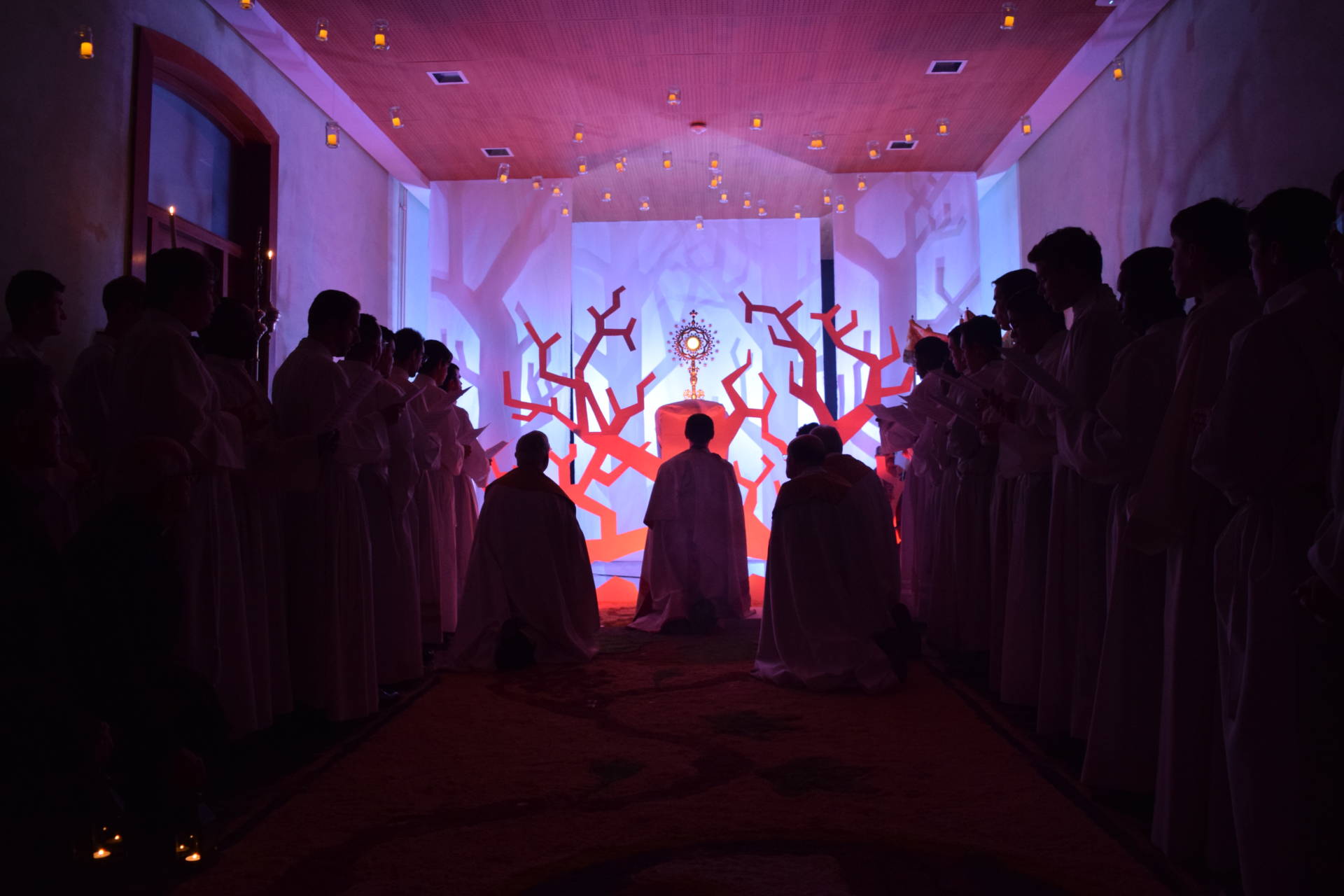 La eucaristía, «signo elocuente» para la formación de los seminaristas 1 eucaristía 125 reservado seminario seminaristas