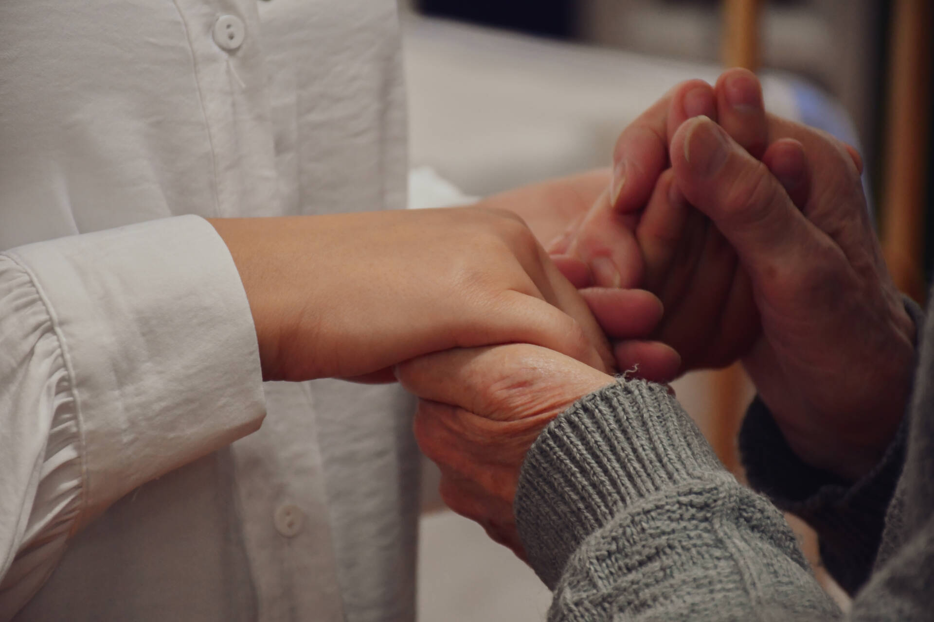 «Creados para cuidar y compartir la vida» 1 «Creados para cuidar y compartir la vida»