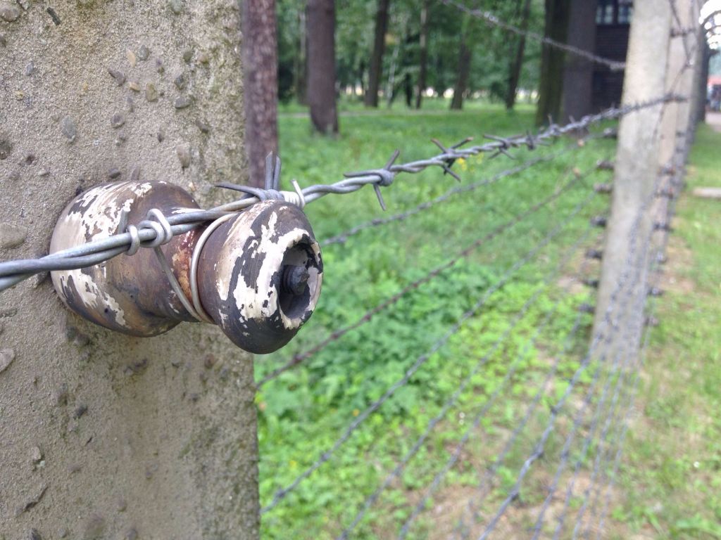 Una sobrecogedora visita a los campos de concentración de Auschwitz 3 img-20160726-wa0005.jpg