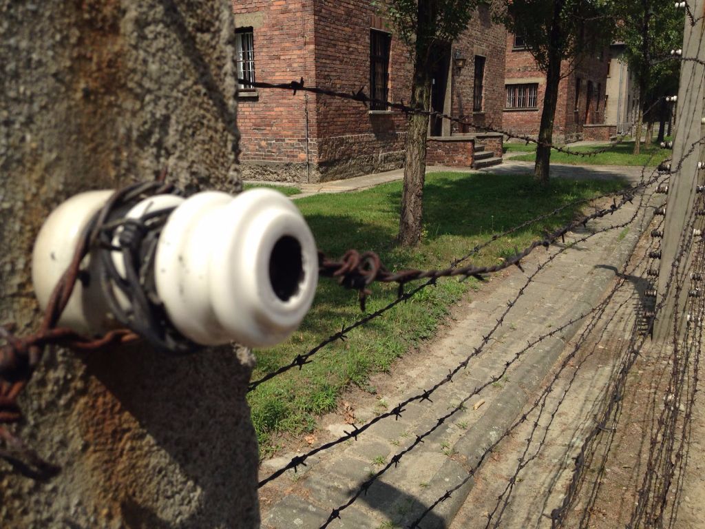 Una sobrecogedora visita a los campos de concentración de Auschwitz 5 img-20160726-wa0007.jpg