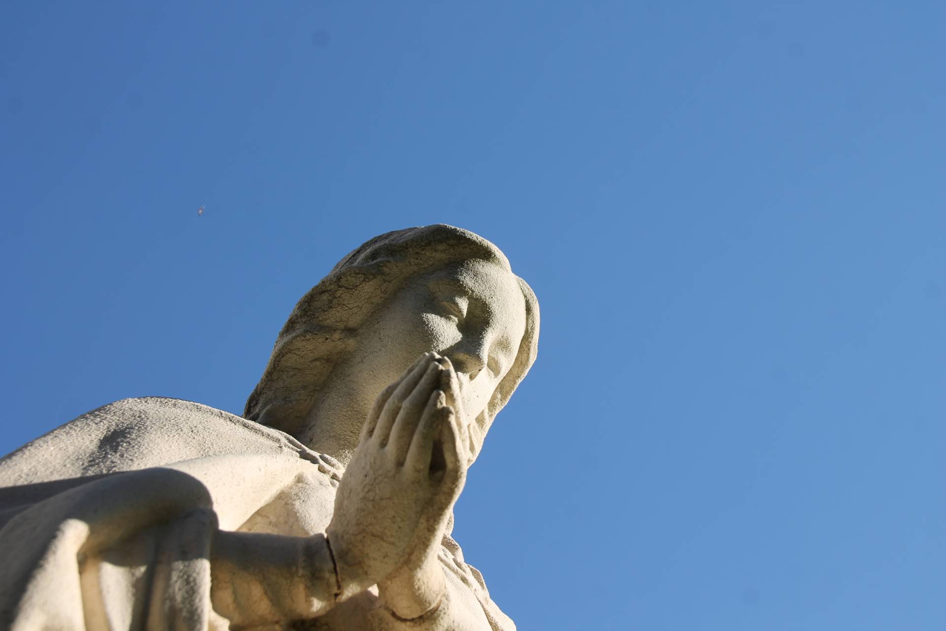 Día de la Inmaculada Concepción 1 inmaculada