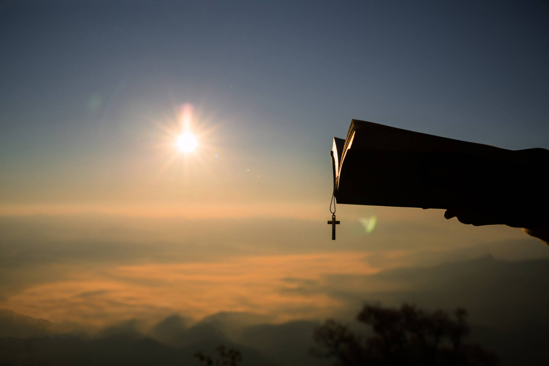 «Donde habita la paz, habita Dios» 1 «La misericordia, camino de fraternidad y de paz»