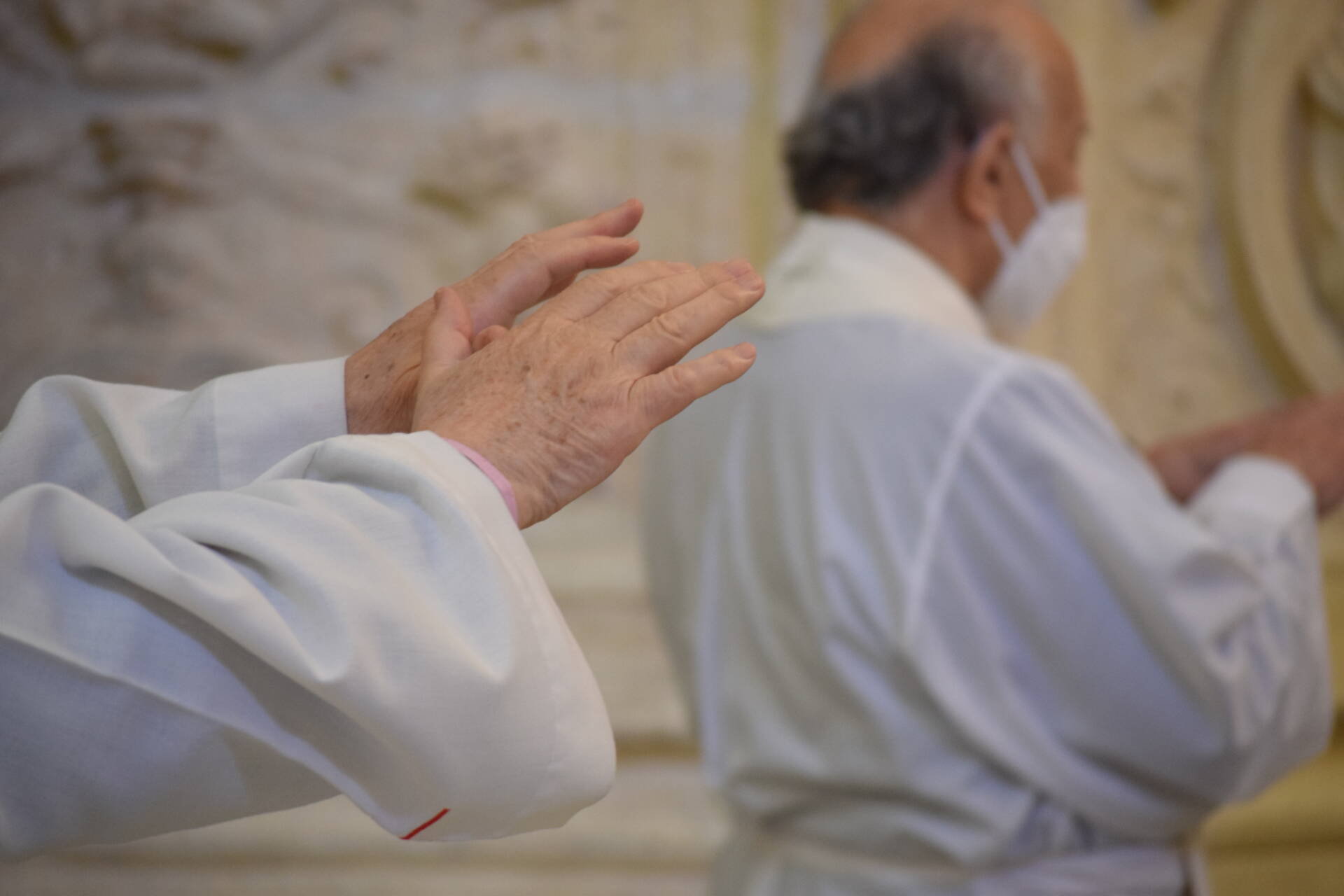Manos ungidas para ser la ternura del Señor 3 manos ungidas misa crismal_15