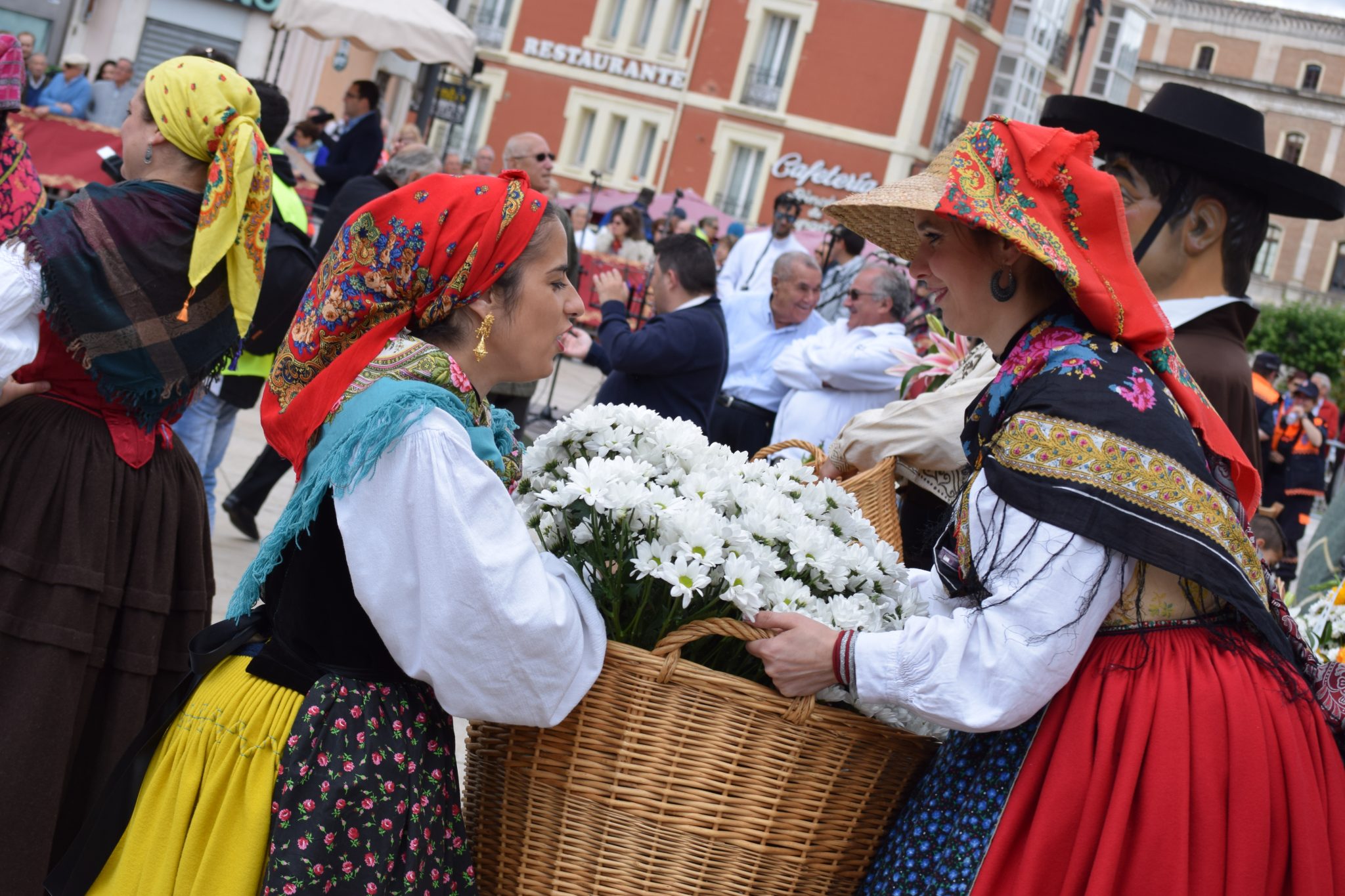 Miles de burgaleses llevan sus flores a Santa María la Mayor 11 ofrenda santa maria la mayor24