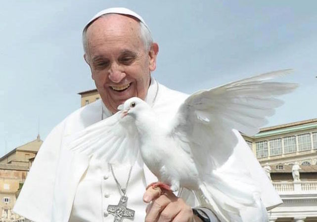 Un curso de la Facultad de Teología profundizará en la encíclica «Laudato si» 1 papa francisco