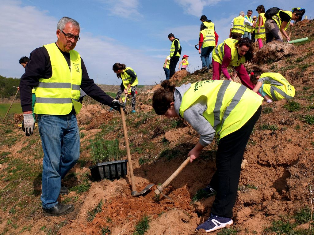 Éxito de participación en el día del árbol 1 plantar arboles