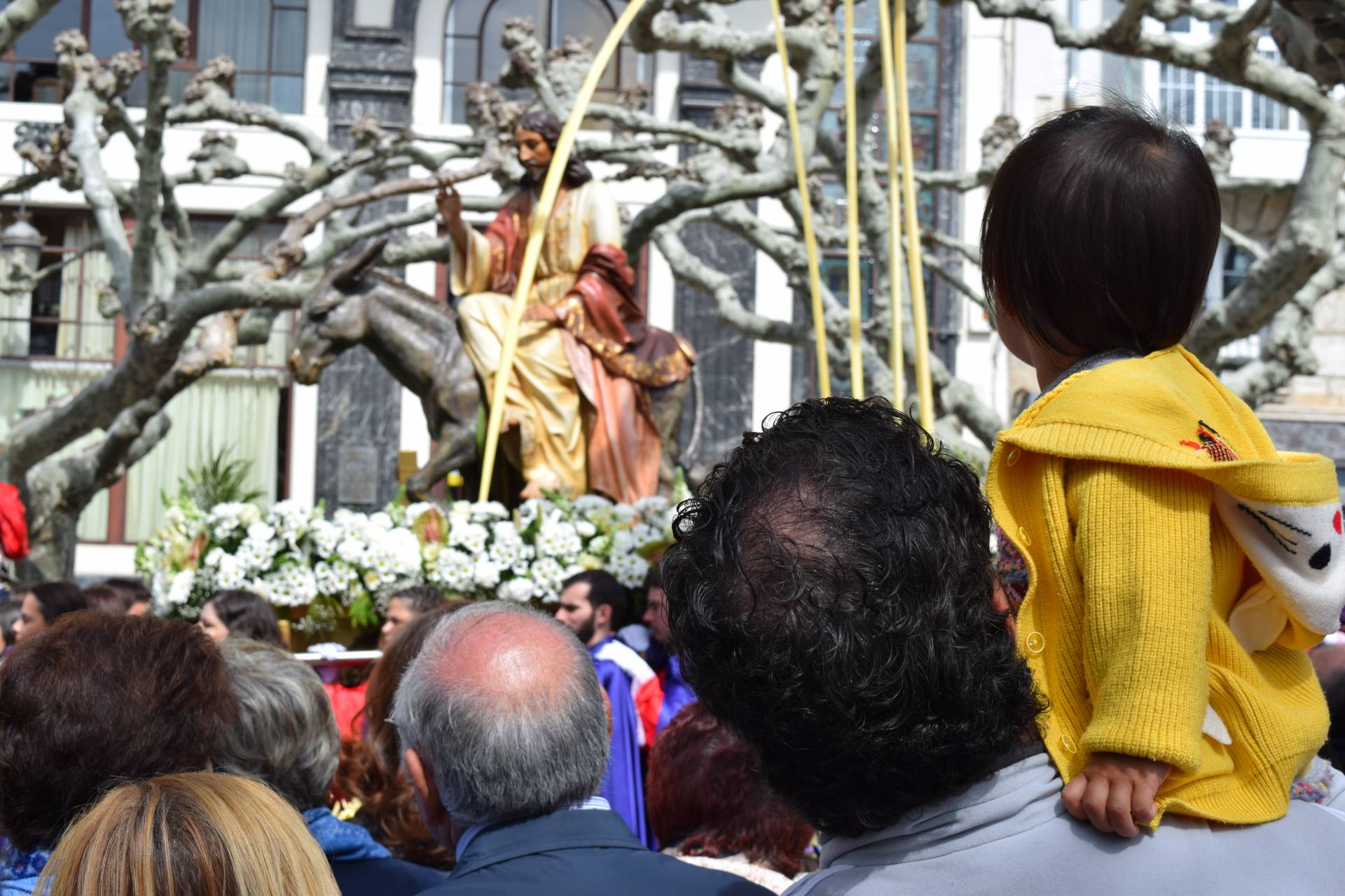 Los burgaleses agitan sus ramos al paso de Jesús en la borriquilla 4 procesion borriquilla_27