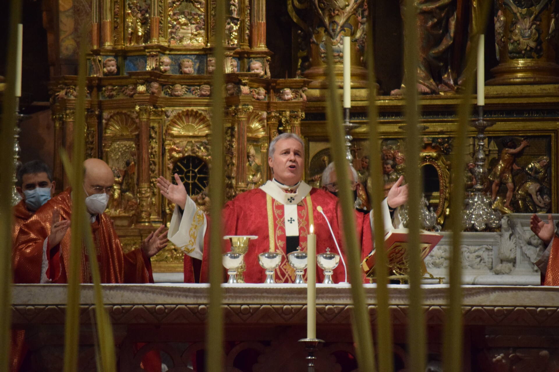 ¡Viva Cristo Rey! 4 procesión de la borriquilla cristo rey