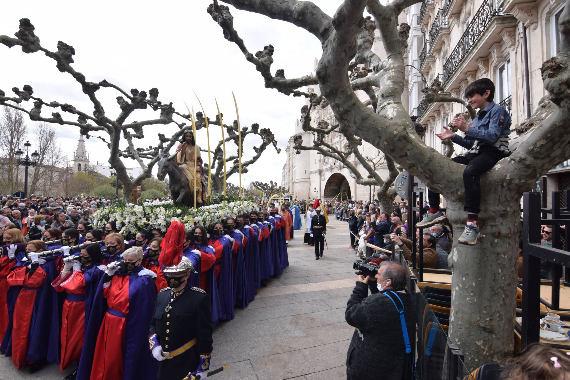 ¡Viva Cristo Rey! 2 procesión de la borriquilla cristo rey