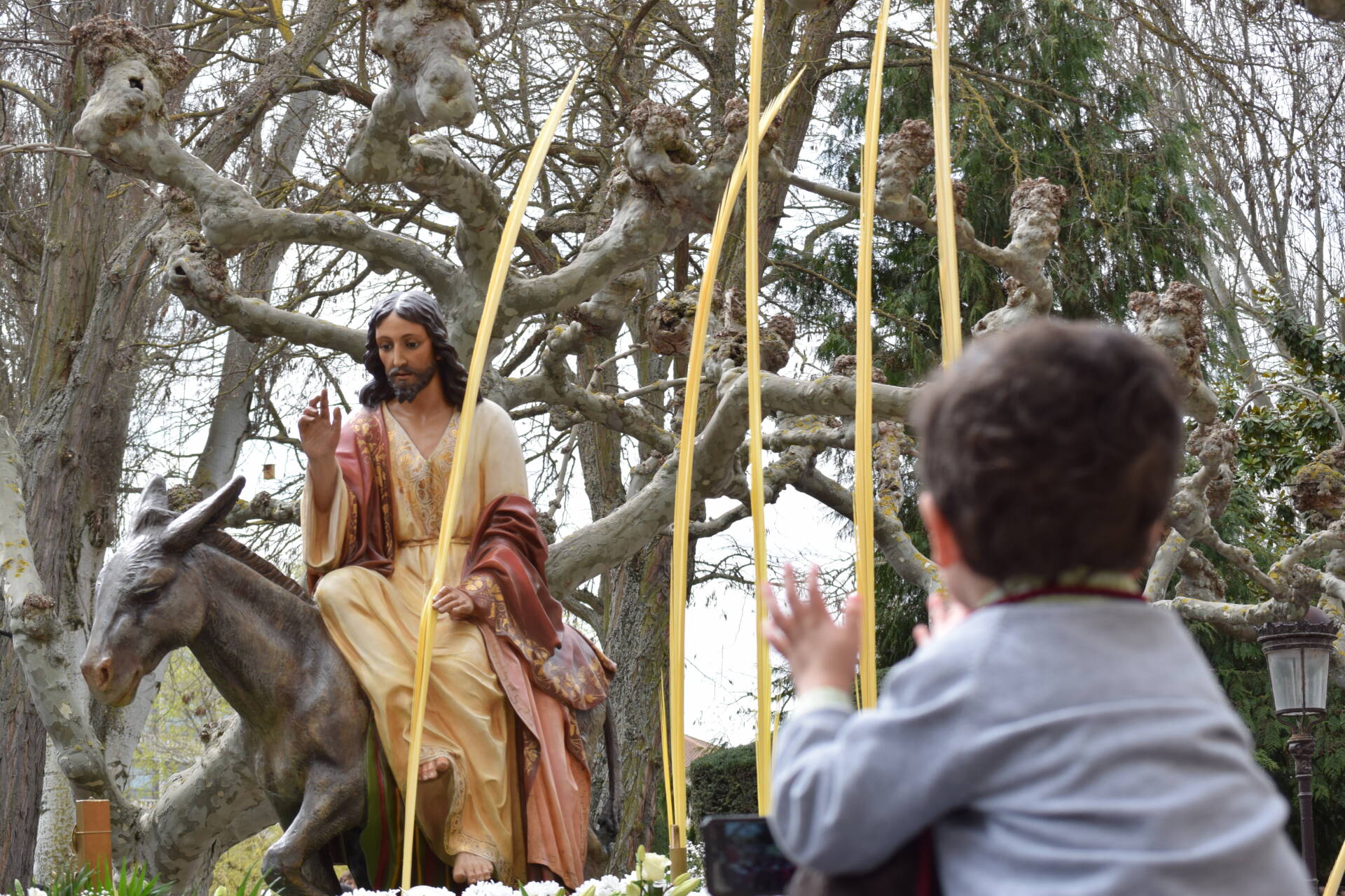 El Reino de la justicia, el amor y la paz 1 procesión de la borriquilla cristo rey