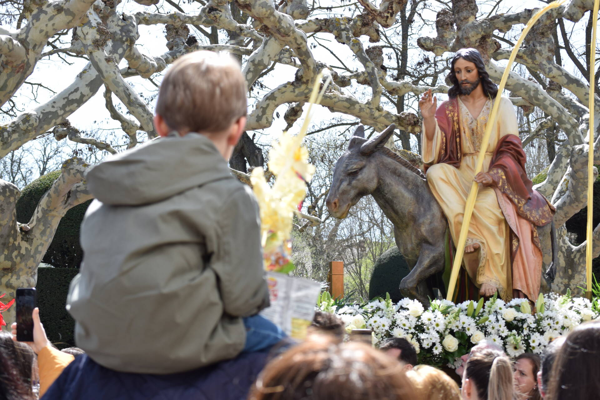 «El rey de pobres, rey de paz y rey universal que quiere entrar en tu corazón» 3 rey de pobres procesión borriquilla burgos