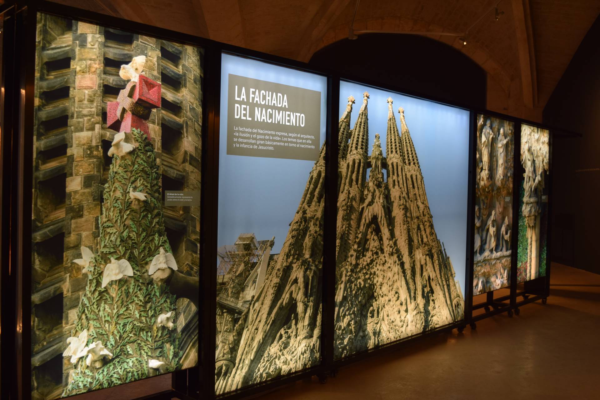 Llega a la Catedral la exposición «Gaudí y la Sagrada Familia» 9 sagrada familia_9