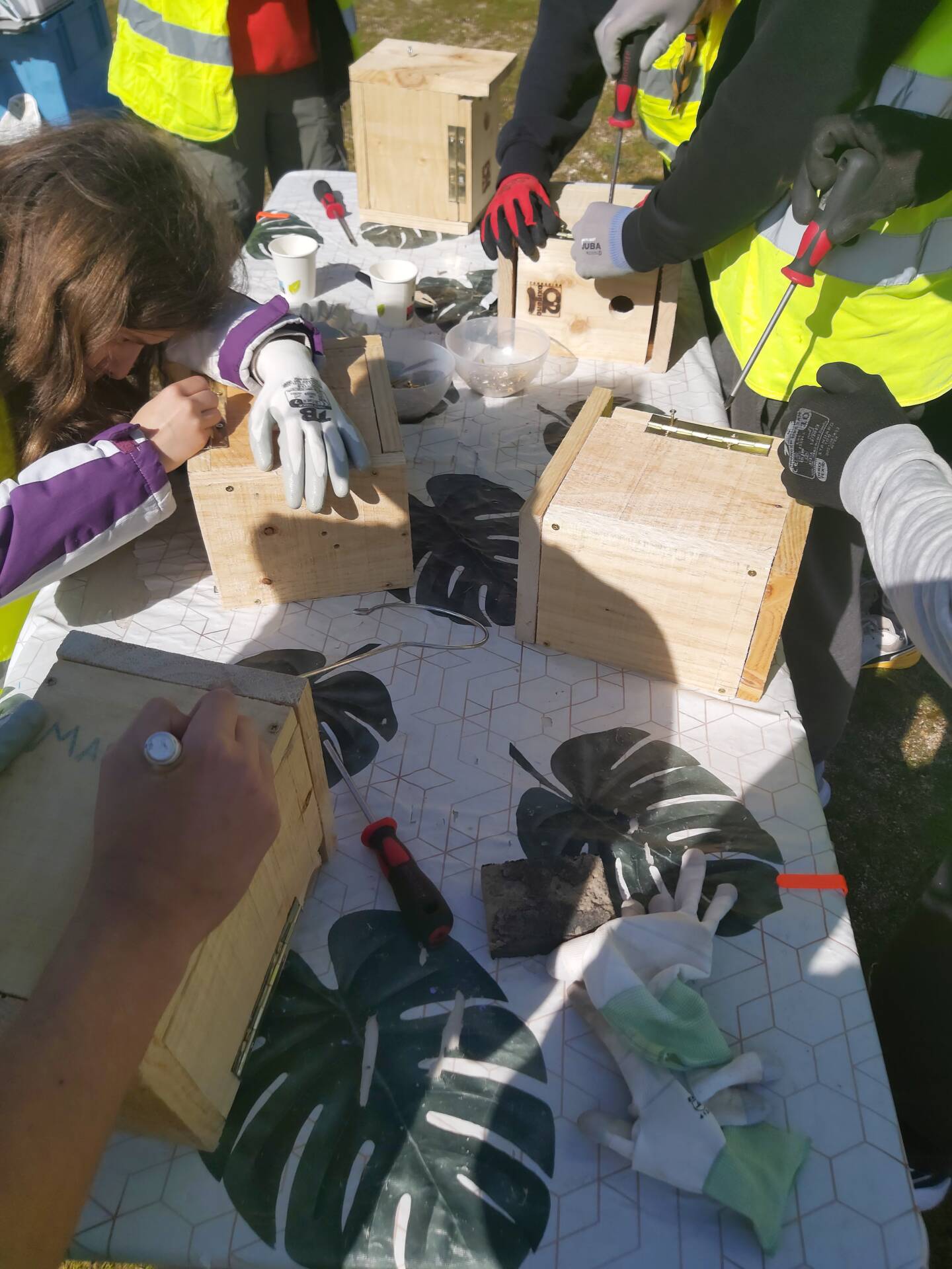 San Pedro y San Felices se pone en modo 'ecología integral' 2 San Pedro y San Felices se pone en modo 'ecología integral'