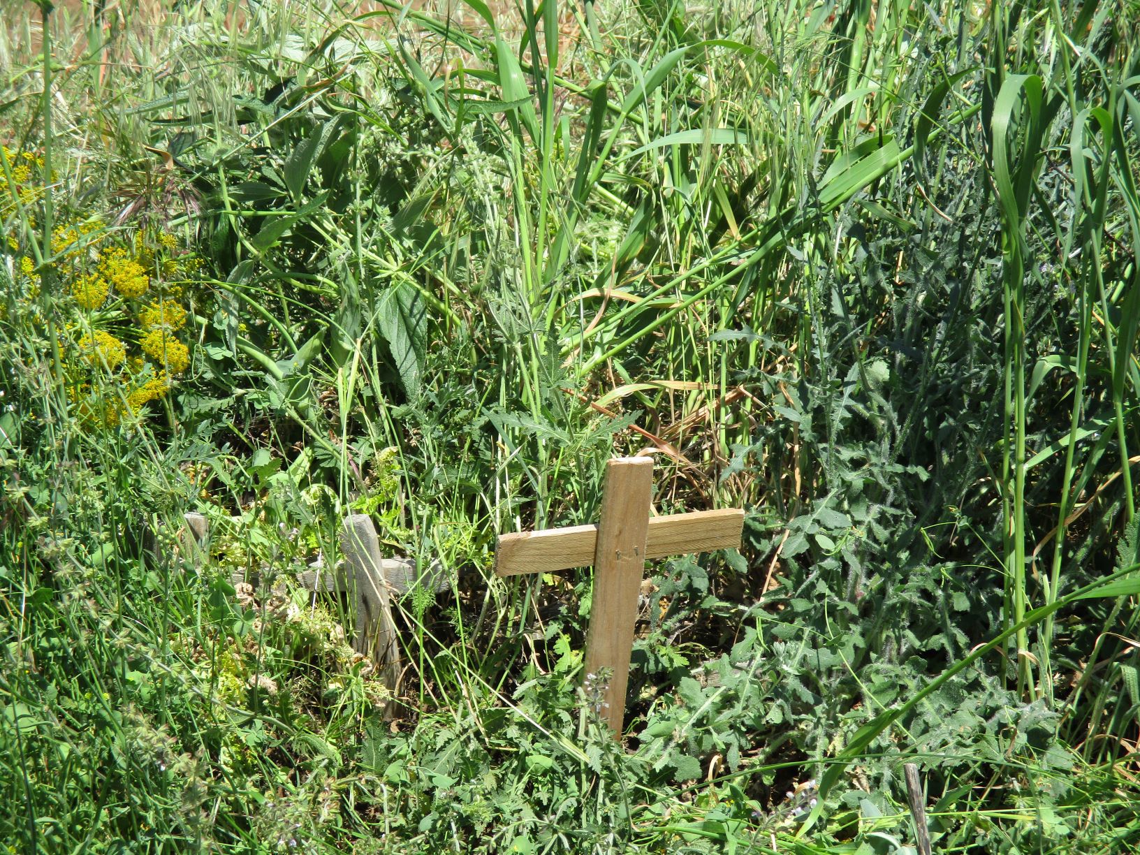 Cruces para implorar una buena cosecha en Sordillos 9 sordillos_9
