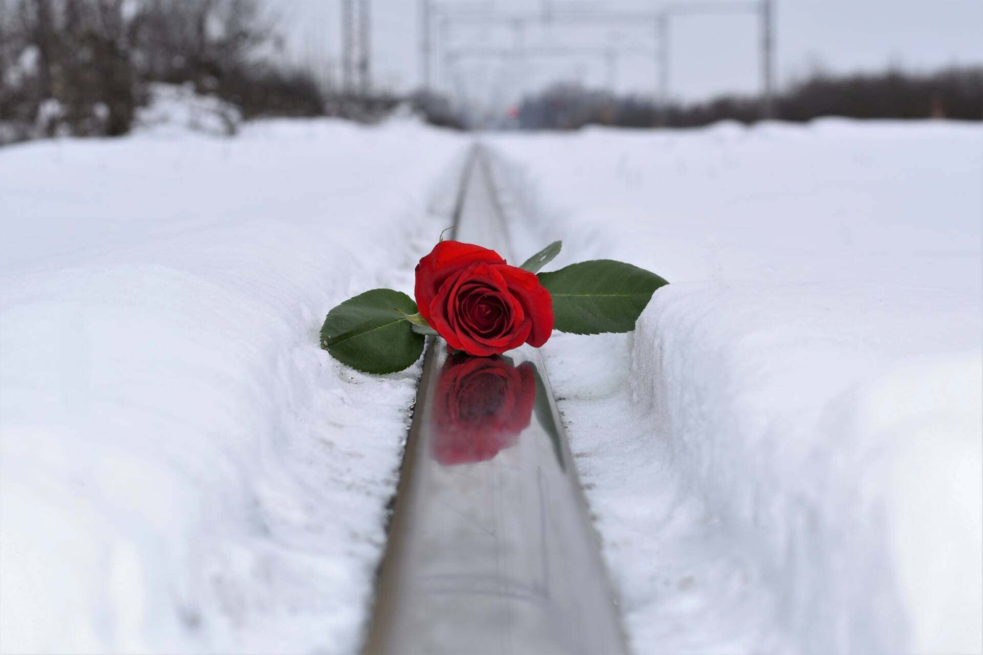 Dios… y el suicidio 1 suicidio