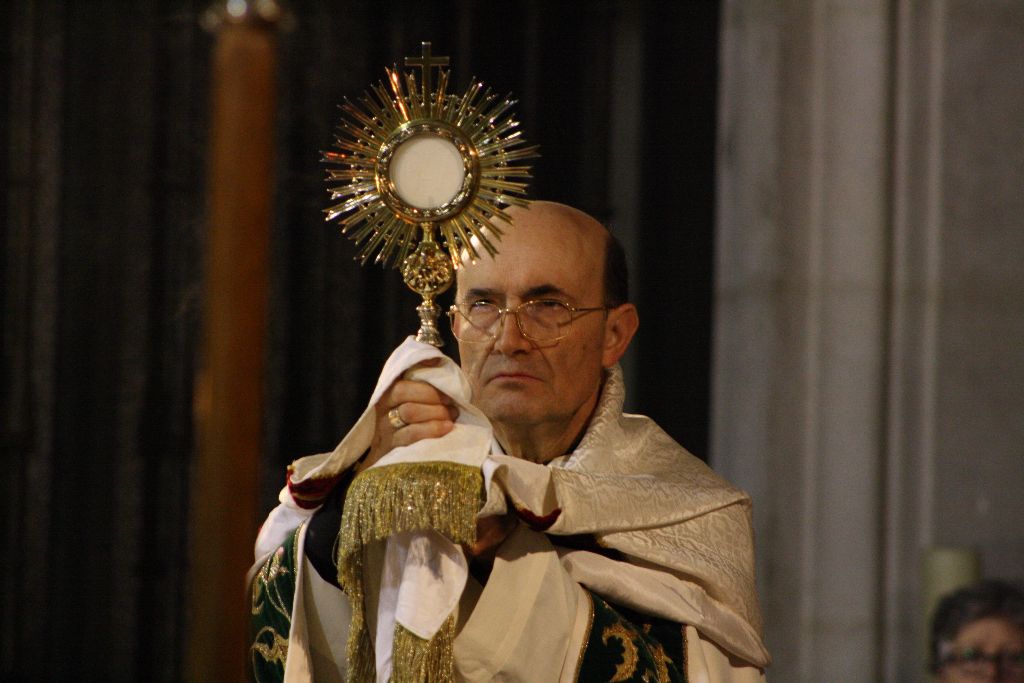 Una vigilia de la Inmaculada con sabor misericordioso 10 vigilia-inmaculada-10.jpg