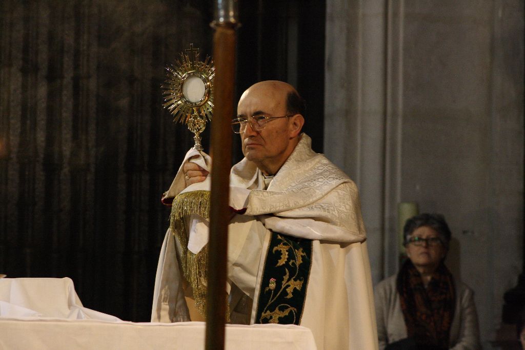 Una vigilia de la Inmaculada con sabor misericordioso 9 vigilia-inmaculada-9.jpg